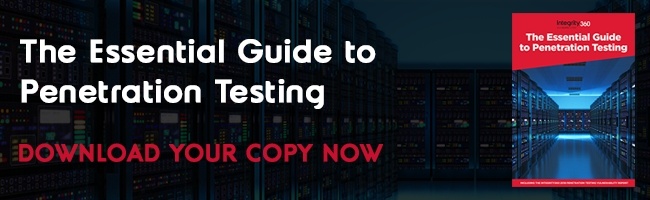 The Essential Guide to Penetration Testing