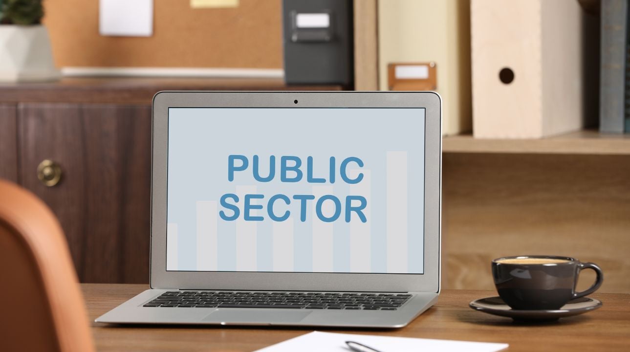 public sector
